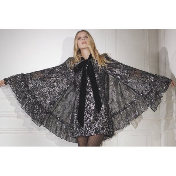 💕VAMPIRE'S WIFE x H&M💕 Silver Lace Mini Dress - Picture 5 of 17